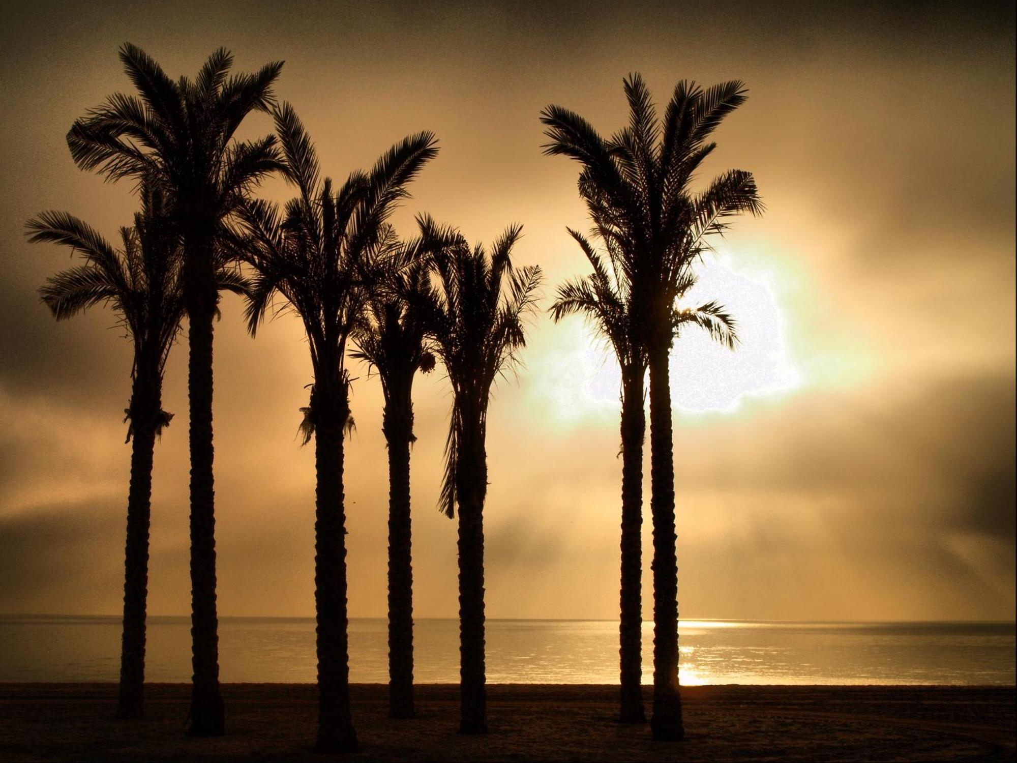 Apartamentos Estrella De Mar Roquetas de Mar Bagian luar foto